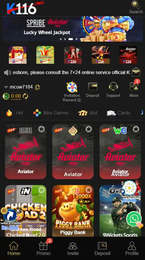 K1166 Game